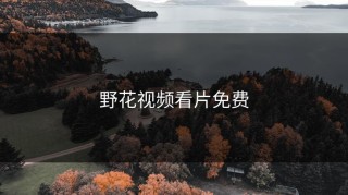 野花视频看片免费