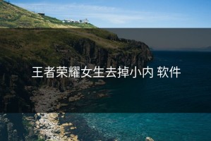 王者荣耀女生去掉小内 软件