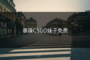 暴躁CSGO妹子免费
