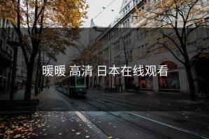暖暖 高清 日本在线观看