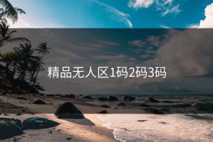 精品无人区1码2码3码