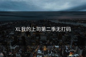 XL我的上司第二季无打码