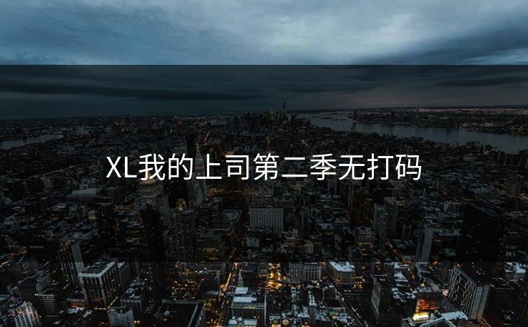 XL我的上司第二季无打码